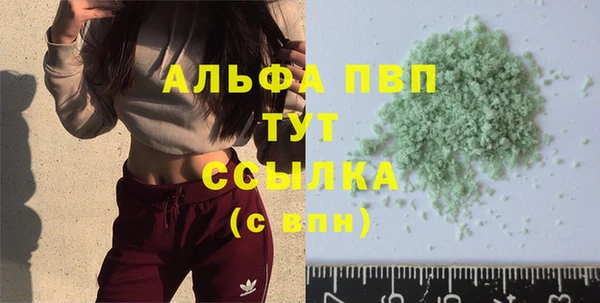 шишки Новозыбков