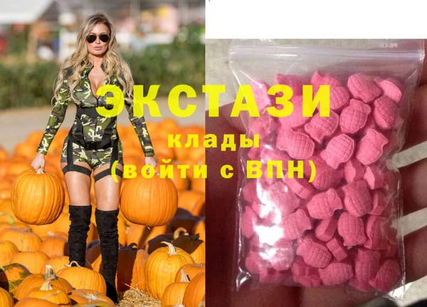 ешки Новодвинск