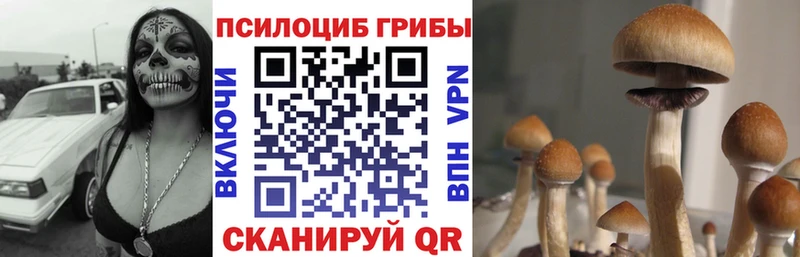 Галлюциногенные грибы MAGIC MUSHROOMS  Алейск 