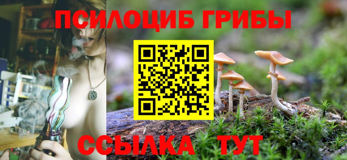 Псилоцибиновые грибы GOLDEN TEACHER Алейск