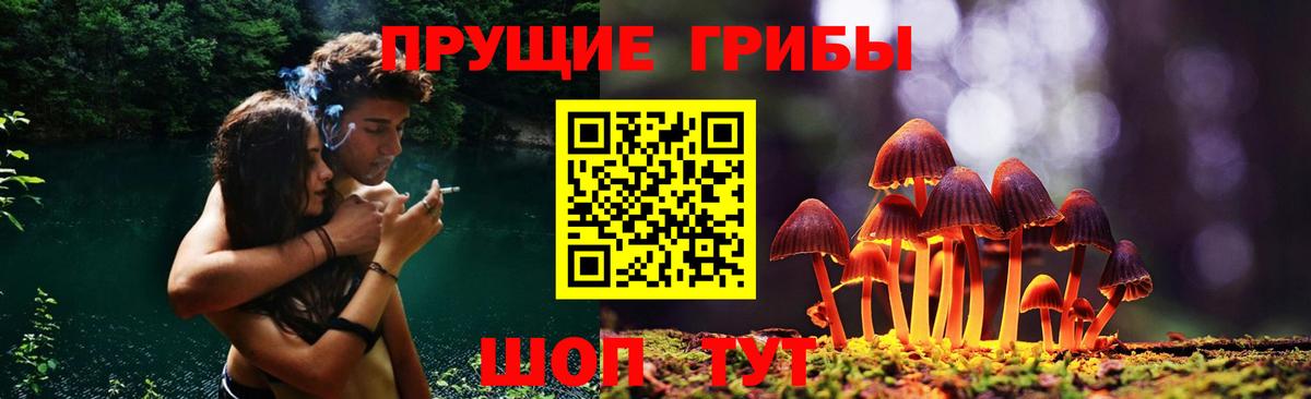 Алейск  Псилоцибиновые грибы Psilocybe  Вход с VPN  Галлюциногенные грибы Magic Shrooms 
